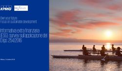 Informativa extra finanziaria (ESG): survey sull'applicazione del D.lgs. 254/2016 - Own your future: Focus on sustainable development