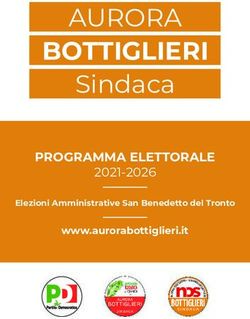 BOTTIGLIERI AURORA Sindaca - PROGRAMMA ELETTORALE - Cronache Picene