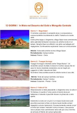12 GIORNI / In Moto nel Deserto del Gobi e Mongolia Centrale - mongolia viaggi