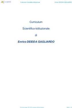 Enrico DEIDDA GAGLIARDO - Curriculum Scientifico-Istituzionale di Curriculum Scientifico-Istituzionale 23.07.2019