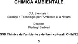 CHIMICA AMBIENTALE - SSD CHIMICA DELL'AMBIENTE E DEI BENI CULTURALI, CHIM/12 CDL TRIENNALE IN - MOODLE@UNITS