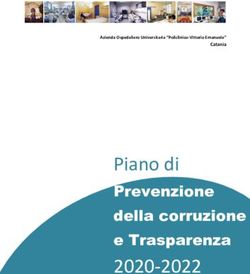 Piano di 2020-2022 Prevenzione della corruzione e Trasparenza - Vittorio Emanuele