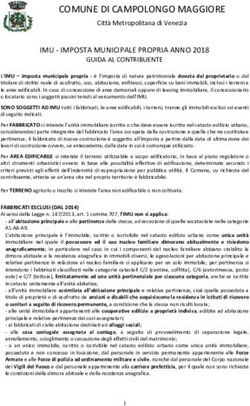 COMUNE DI CAMPOLONGO MAGGIORE