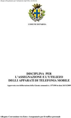 DISCIPLINA PER L'ASSEGNAZIONE E L'UTILIZZO DEGLI APPARATI DI TELEFONIA MOBILE