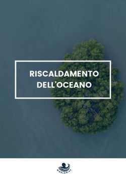 RISCALDAMENTO DELL'OCEANO