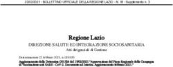 Regione Lazio Atti dirigenziali di Gestione - DIREZIONE SALUTE ED INTEGRAZIONE SOCIOSANITARIA - SNAMI-Roma