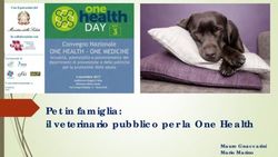 Pet in famiglia: il veterinario pubblico per la One Health - Mauro Gnaccarini Mario Marino - FVM