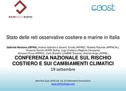 CONFERENZA NAZIONALE SUL RISCHIO COSTIERO E SUI CAMBIAMENTI CLIMATICI - RemTech Expo