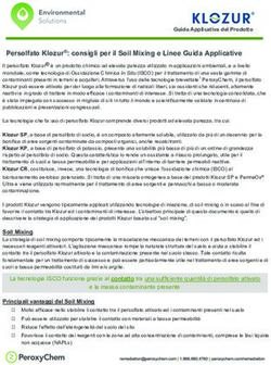 Persolfato Klozur: consigli per il Soil Mixing e Linee Guida Applicative