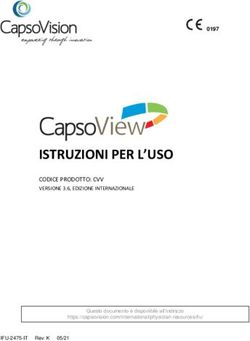 ISTRUZIONI PER L'USO CODICE PRODOTTO: CVV VERSIONE 3.6, EDIZIONE INTERNAZIONALE - CapsoVision