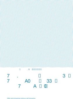 PROGRAMMA CANTONALE PROMOZIONE DELLE COMPETENZE DI BASE - DOCUMENTO STRATEGICO 2017-2020