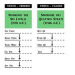 Un viaggio tra materia ed energia: la medicina tradizionale cinese - La salute nel mondo