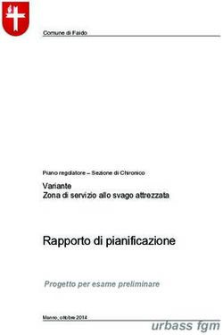 Rapporto di pianificazione - Comune di Faido