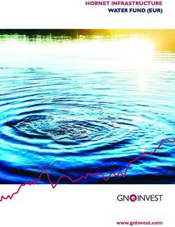 HORNET INFRASTRUCTURE WATER FUND (EUR) - www.gninvest.com