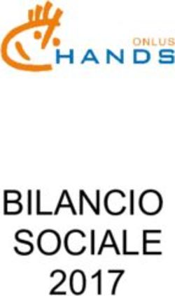 BILANCIO SOCIALE 2017 - HANDS-Onlus