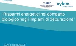 "Risparmi energetici nel comparto biologico negli impianti di depurazione" - MARCO LEONCAVALLO