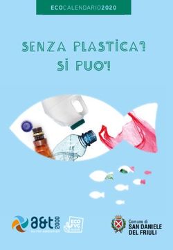SENZA PLASTICA? si puo ! - SAN DANIELE DEL FRIULI Comune di - A&T2000