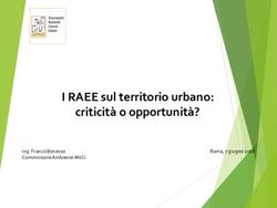 I RAEE sul territorio urbano: criticità o opportunità? - Ing. Franco Bonesso Commissione Ambiente ANCI - Ministero dell'Ambiente