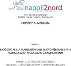 PROGETTO DI FATTIBILITÀ - Comune di Giugliano in Campania