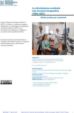 La stimolazione cerebrale non invasiva terapeutica rTMS; tDCS