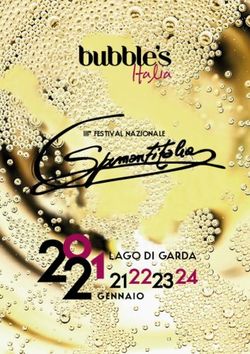 LAGO DI GARDA - III FESTIVAL NAZIONALE - Spumantitalia