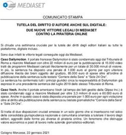 TUTELA DEL DIRITTO D'AUTORE ANCHE SUL DIGITALE: DUE NUOVE VITTORIE LEGALI DI MEDIASET CONTRO LA PIRATERIA ONLINE