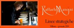 Linee strategiche Milano - gennaio 2014 - Raffaele Mancini