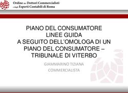 PIANO DEL CONSUMATORE LINEE GUIDA A SEGUITO DELL'OMOLOGA DI UN PIANO DEL CONSUMATORE - TRIBUNALE DI VITERBO - GIAMMARINO TIZIANA COMMERCIALISTA ...