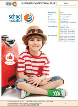 SUMMER CAMP ITALIA 2018 - Fasen