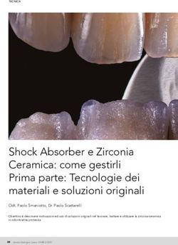 Shock Absorber e Zirconia Ceramica: come gestirli Prima parte: Tecnologie dei materiali e soluzioni originali - AIOP