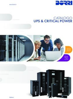 CATALOGO UPS & CRITICAL POWER - Borri
