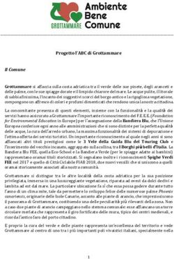 Progetto l'ABC di Grottammare