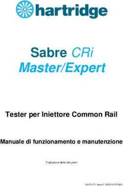 Sabre CRi Master/Expert - Tester per Iniettore Common Rail - Softon Web Site