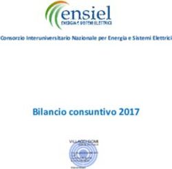 Bilancio Bilancio consuntivo 2017 - Consorzio Interuniversitario Nazionale per Energia e Sistemi Elettrici