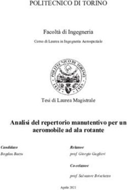 POLITECNICO DI TORINO - Webthesis