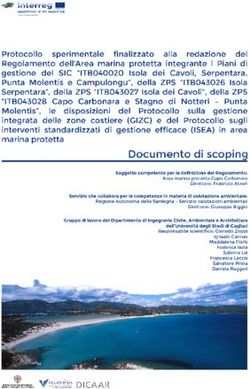 COPERTINA VILLASIMIUS - Area Marina Protetta Capo Carbonara