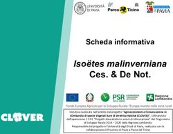 Ces. & De Not. Iso&euml;tes malinverniana - Scheda informativa - progetto CLOVER