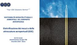 Elettrificazione dei mezzi e delle attrezzature aeroportuali (GSE) - SOSTENIBILIT&Agrave; INFRASTRUTTURALE E AMBIENTALE DEL COMPARTO AEROSPAZIALE