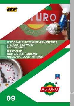 AEROGRAFI E SISTEMI DI VERNICIATURA UTENSILI PNEUMATICI RACCORDERIA SPRAY GUNS AND PAINTING SYSTEMS PNEUMATIC TOOLS - FITTINGS