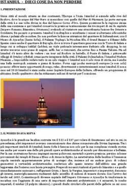 ISTANBUL - DIECI COSE DA NON PERDERE