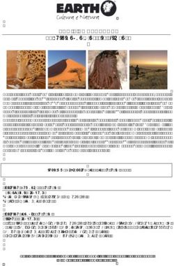 NAMIBIA PANORAMA La sorprendente natura africana