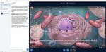 PIATTAFORMA DEI PERCORSI FORMATIVI ANITEL - GUIDA PER ISCRITTI TRAMITE CONVENZIONE DI RETE DI SCUOLE - UTILIZZA I PULSANTI E I LINK INTERNI PER ...