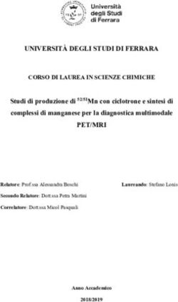 UNIVERSITÀ DEGLI STUDI DI FERRARA - CORSO DI LAUREA IN SCIENZE CHIMICHE - Infn