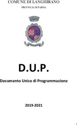 D.U.P. Documento Unico di Programmazione 2019-2021 - Comune di Langhirano
