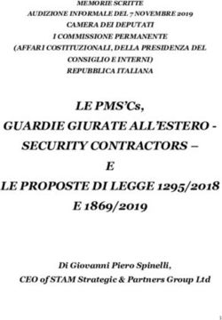 GUARDIE GIURATE ALL'ESTERO - SECURITY CONTRACTORS-Camera dei Deputati