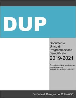 DUP 2019-2021 Documento Unico di Programmazione Semplificato - Comune di Dolegna del Collio