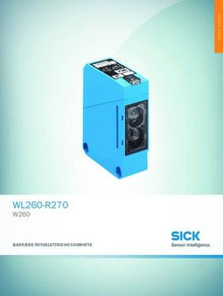 WL260-R270 W260 BARRIERE FOTOELETTRICHE COMPATTE - SICK Germany