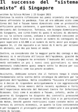 Il successo del "sistema misto" di Singapore - Fondazione Hume