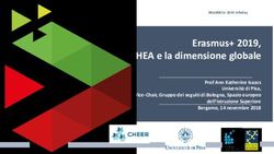 Erasmus+ 2019, L'EHEA e la dimensione globale - Prof Ann Katherine Isaacs Università di Pisa, Vice-Chair, Gruppo dei seguiti di Bologna, Spazio ...