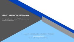 I REATI NEI SOCIAL NETWORK - Breve guida da seguire, su cosa NON fare (o scrivere) su Facebook, Instagram, etc A cura di AVV. RICCARDO LANZO ...